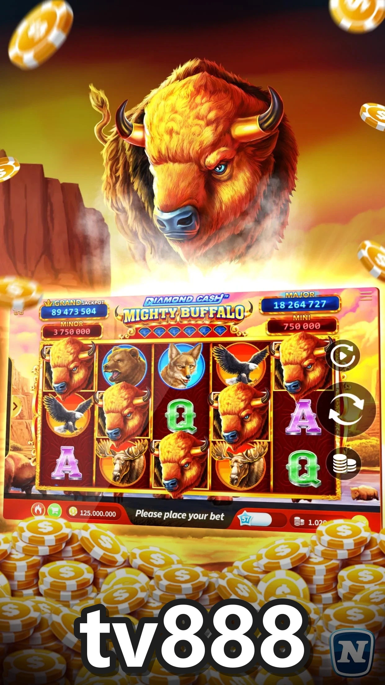 tv888 screenshot